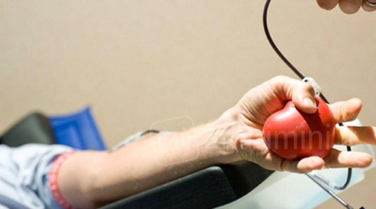 "Pane e sangue": un legame per la Giornata Mondiale del Donatore - Immagine di repertorio