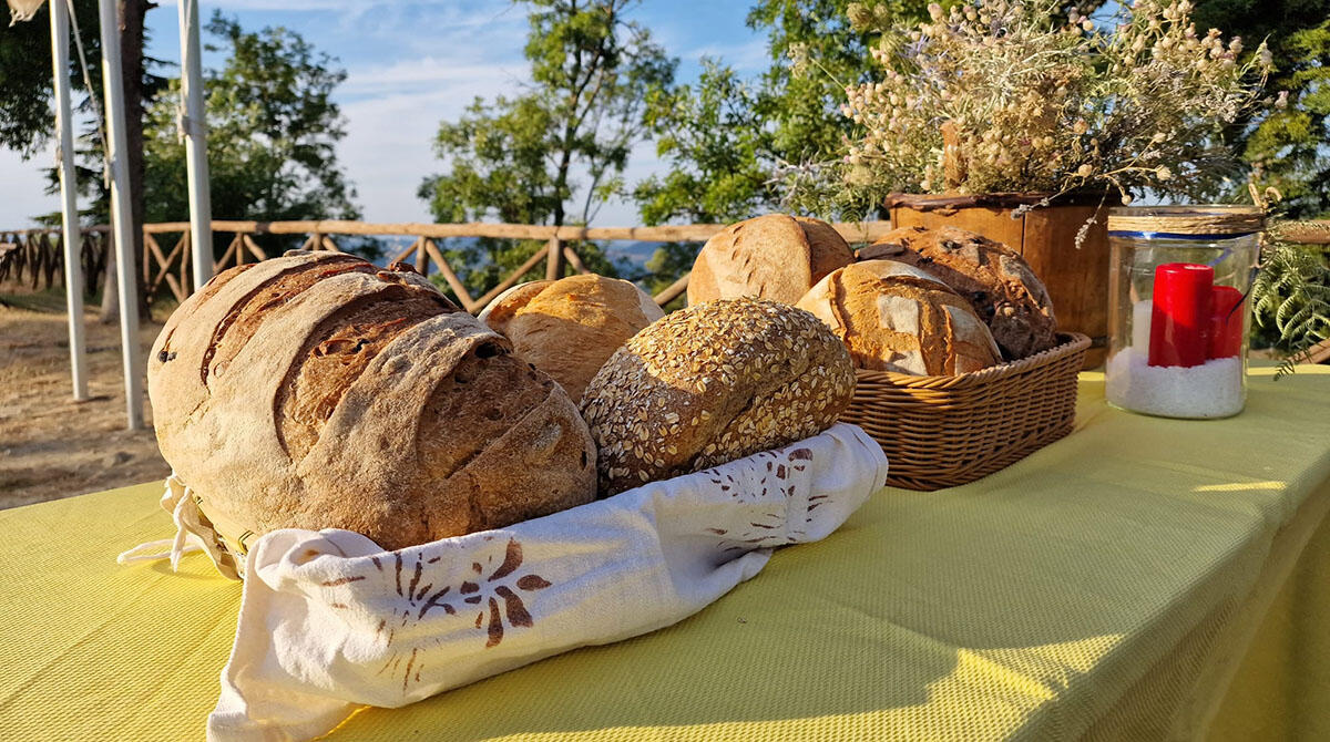 Migliori botteghe d'Italia: il Forno di San Leo è di nuovo nella guida del Gambero Rosso - Pane del Forno di San Leo