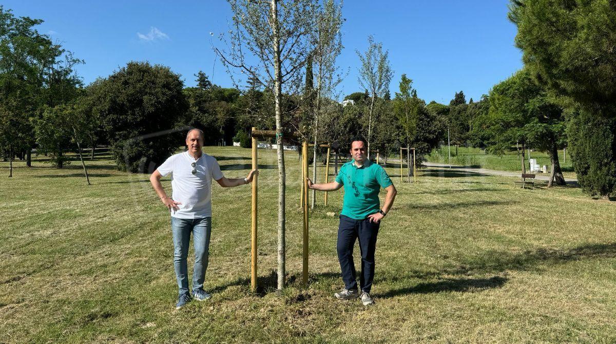 Riccione, 73 nuovi alberi piantati nei parchi e lungo le strade - Fabio Galli  e Christian Andruccioli