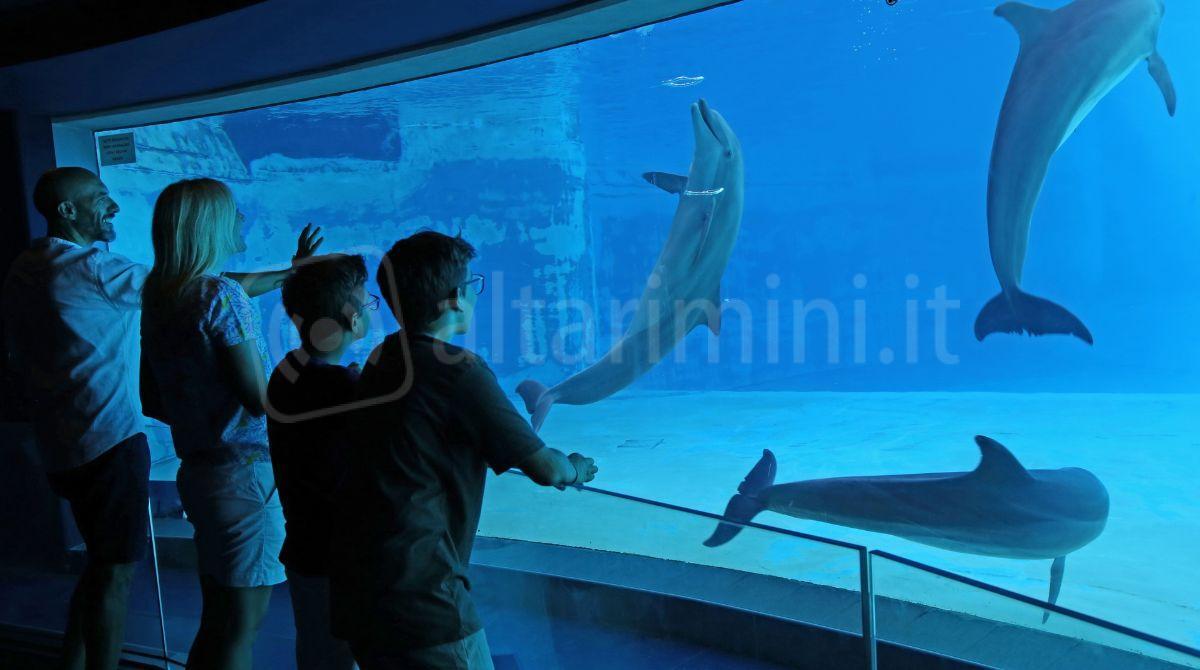 Le "Famiglie numerose" italiane si incontrano ad Aquafan ed Oltremare - Oltremare - ph Paritani