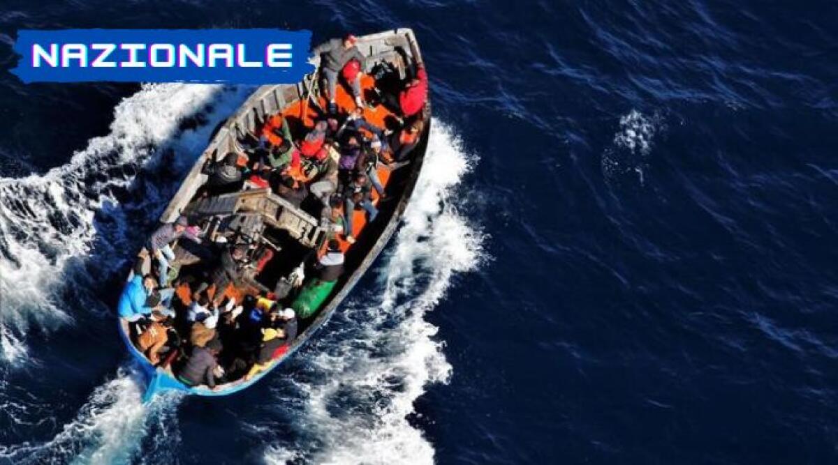 Meloni denuncia alla Procura Antimafia: 'Decreti flussi usati per immigrazione irregolare -