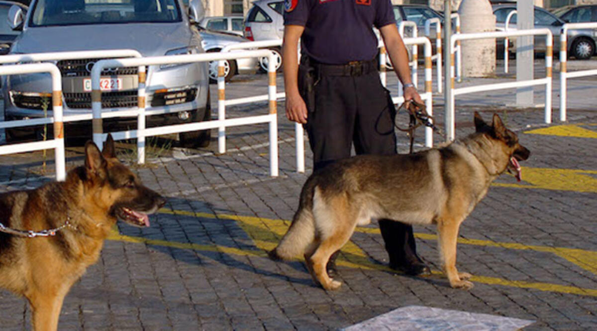 Giancarlo Pari scomparso da sei giorni: ricerche con i cani molecolari - Foto di repertorio