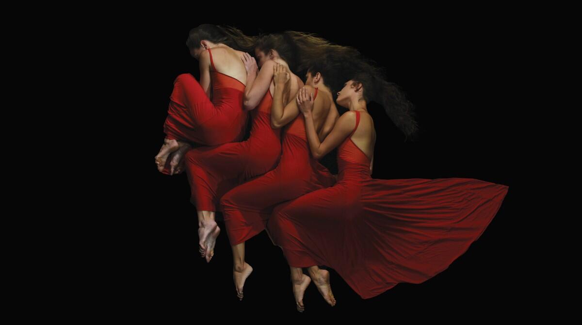 A Rimini è danza: dieci giorni con nomi internazionali e grandi compagnie - Momix