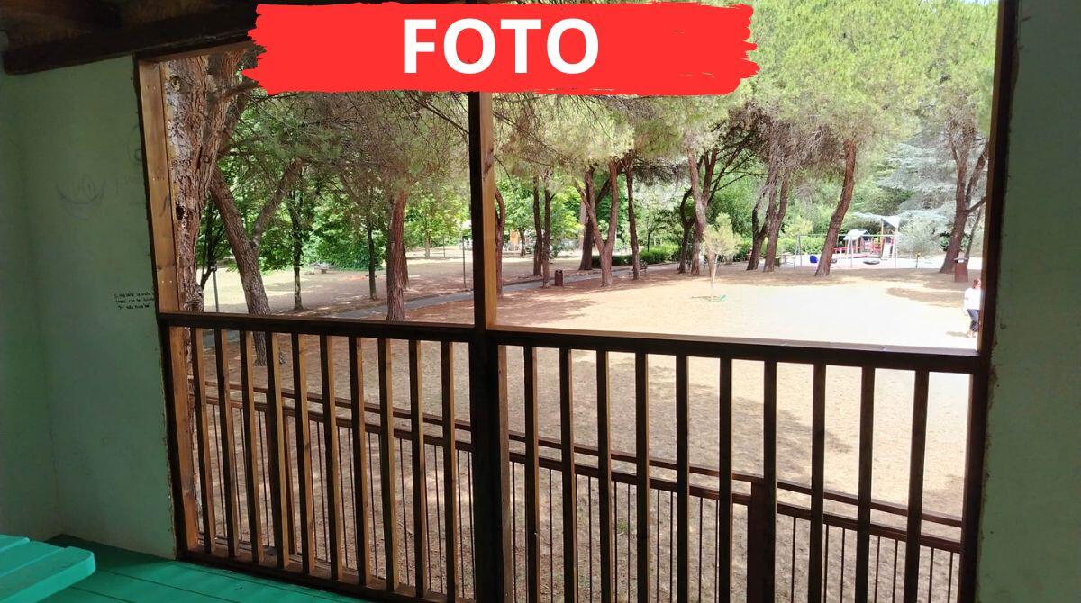 Imbrattata dai vandali, nuova "vita" per la casetta sull'albero del Parco della Resistenza - 