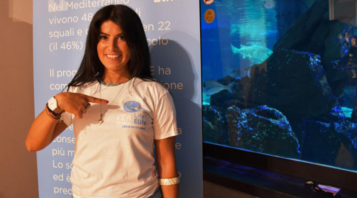 L'acquario di Cattolica celebra la giornata mondiale degli squali -