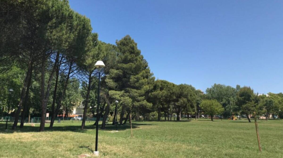 "Briolini con brio!": al parco di San Giuliano, musica, spettacoli e circo - Parco Briolini