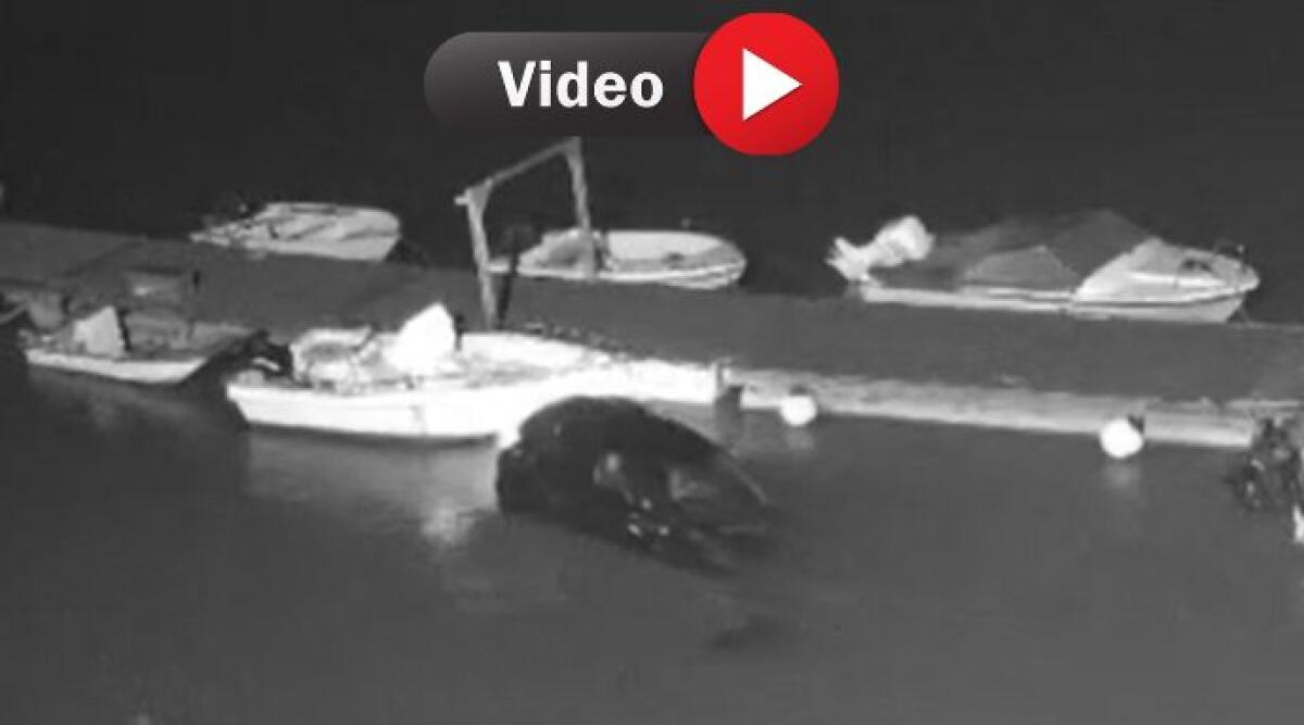 Le terribili immagini della tragedia sul Po - 