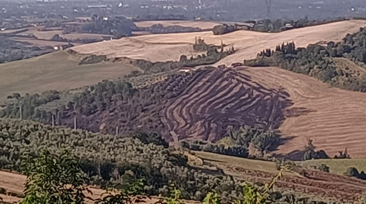 Incendio nelle campagne a causa delle alte temperature: bruciano sterpaglie - Incendio a Saludecio PH BALLANTE