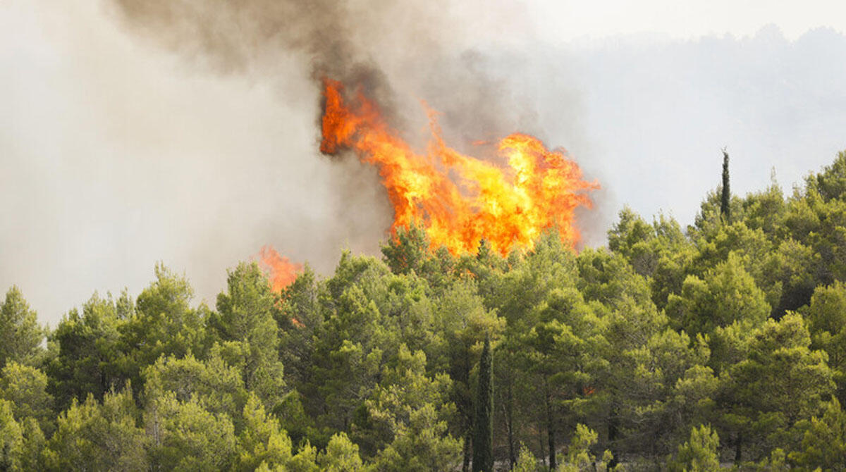 Incendi boschivi, scatta la fase di attenzione. Fino al 7 luglio rischio medio - 