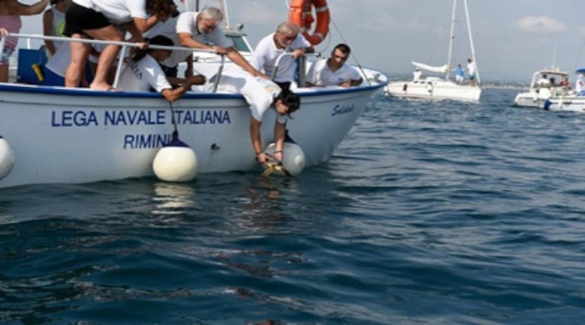 Le “Vele bianche” salpano dal porto di Riccione: si potrà vivere l’esperienza della navigazione - Le vele bianche a Riccione (repertorio)