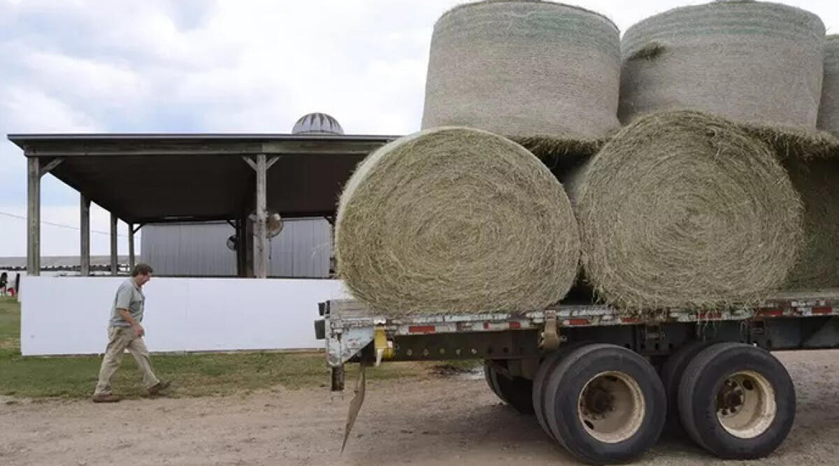 Muore nel Modenese schiacciato da una rotoballa - Foto Ansa