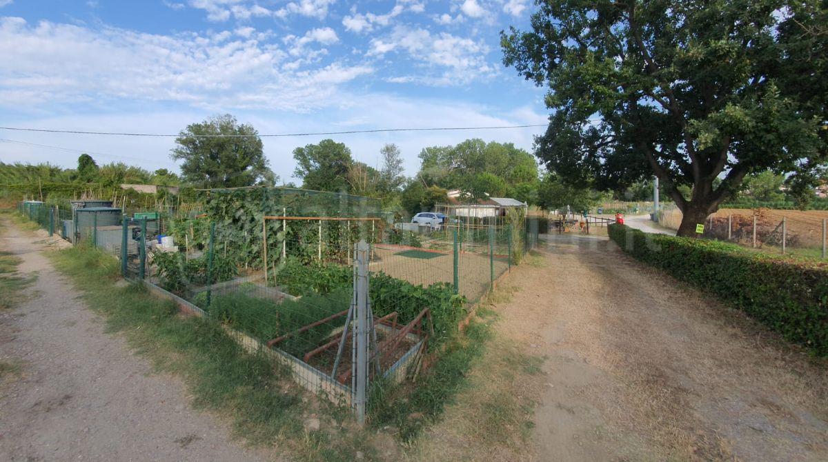 Irrigazioni: Geat realizzerà un attacco per autocisterna negli orti gestiti dagli anziani - 