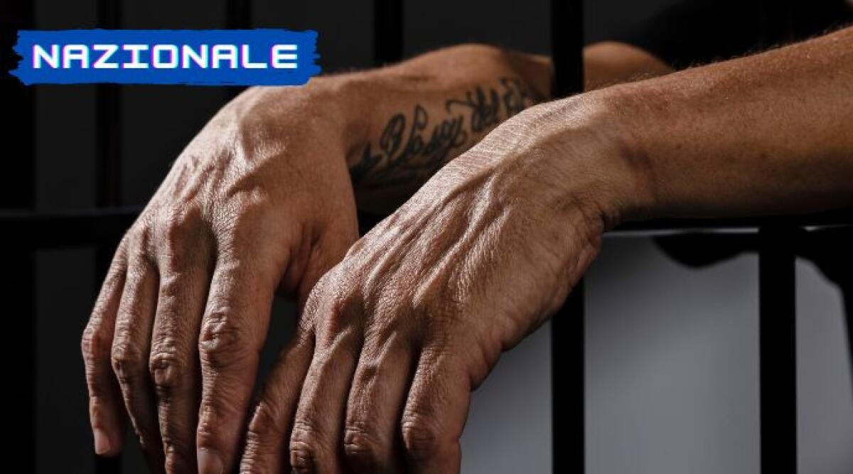 Riforma penitenziaria: nuove misure per la detenzione e la liberazione anticipata -