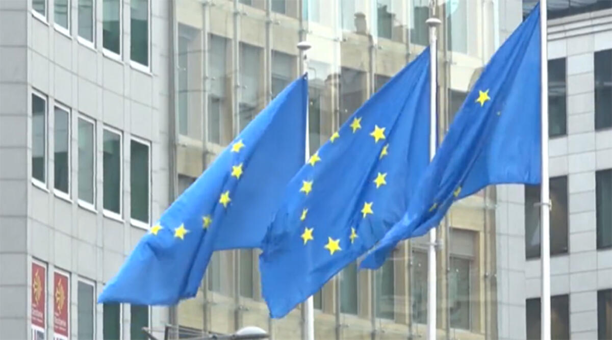 Il progetto di Rimini per il bando regionale " Promozione della cittadinanza europea" è stato tra i migliori - Repertorio