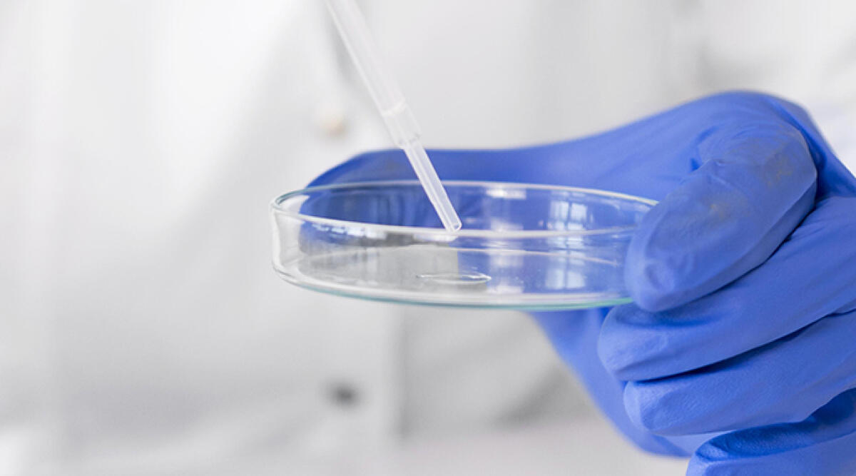 Omicidio Pierina: attesa per l'identificazione del Dna isolato - Dna sotto esame