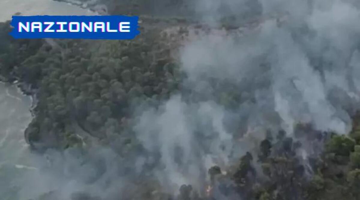 Incendio a Vieste, disposta l'evacuazione dal residence - 