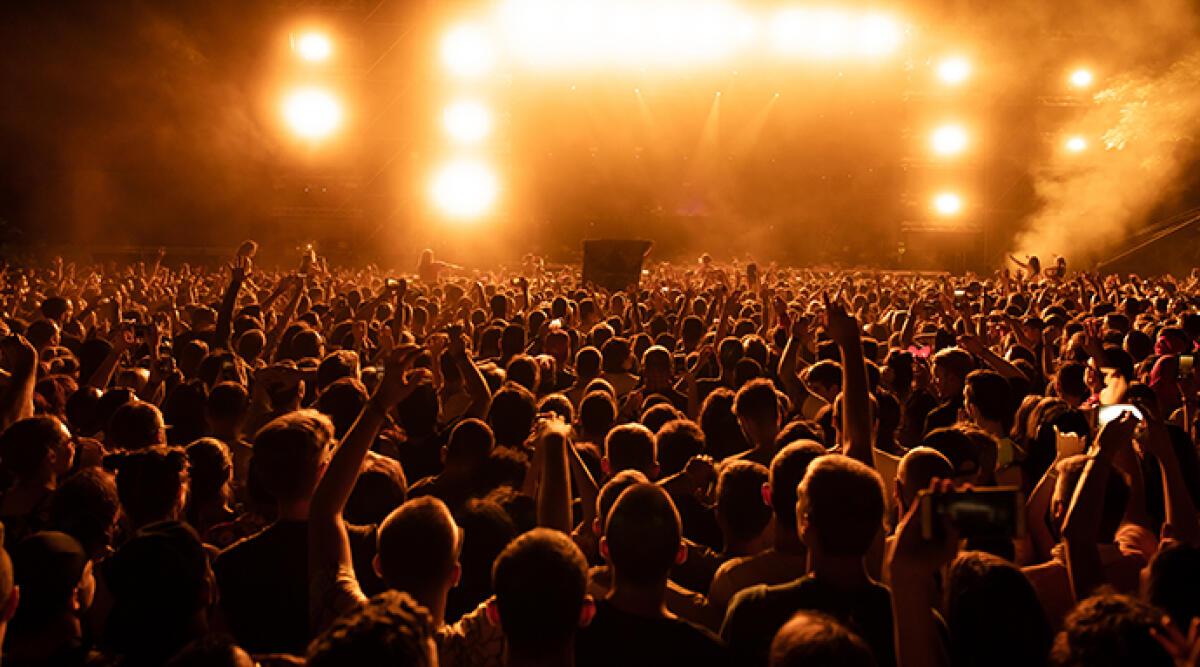 Lancia bottiglie tra la folla: ferisce un minorenne e aggredisce la polizia - Back view of crowd of fans watching live performance on music concert at night. Copy space.