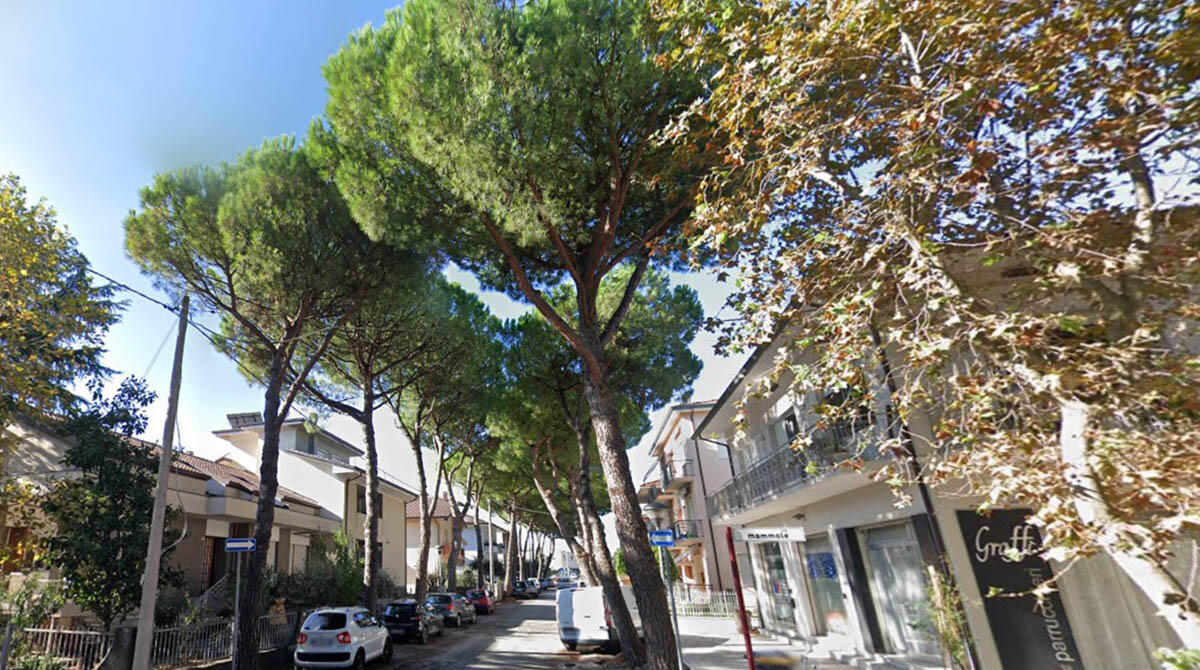 Taglio dei pini in via del Giglio a Cattolica: "Evitabile e illegale". Attacco alla sindaca - Via del Giglio Cattolica PH GOOGLE
