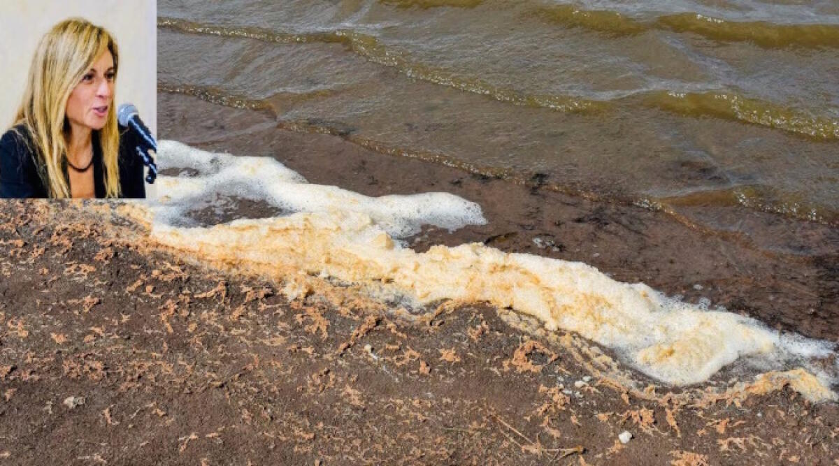 Spiagge, la senatrice Spinelli (FdI): “L’emergenza mucillagine è finita” - La senatrice Spinelli rassicura sulla mucillagine