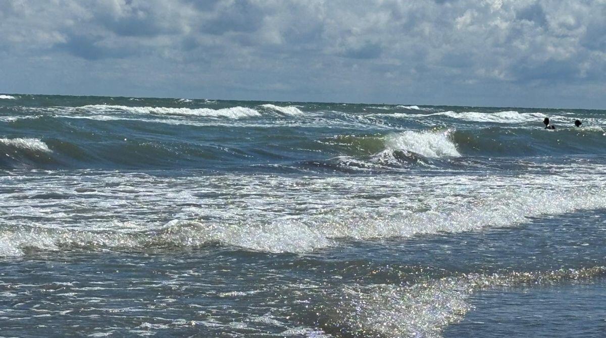 Mucillagini nel mare di Rimini, "fenomeno sta scemando" - PH ALTARIMINI.IT