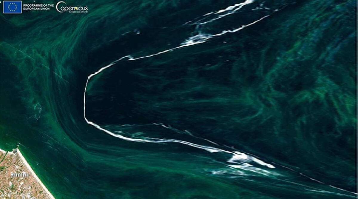 Mucillagine: un'invasione visibile dallo spazio al largo della costa di Rimini - L'Agenzia Copernicus ha diffuso la foto satellitare che mostra la fioritura del fitoplancton e la mucillagine