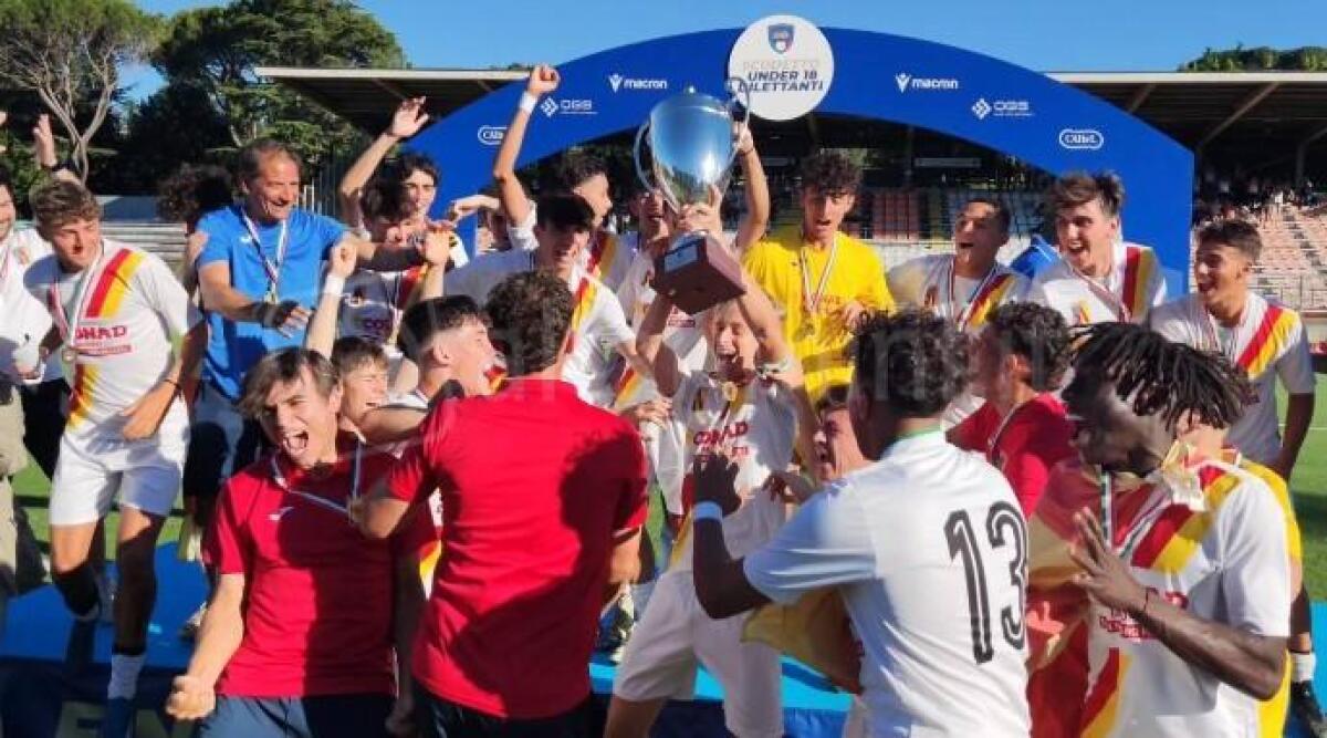 Calcio D, Sammaurese: ceduta la maggioranza alla BP Global. Confermato lo staff tecnico e dirigenziale - 