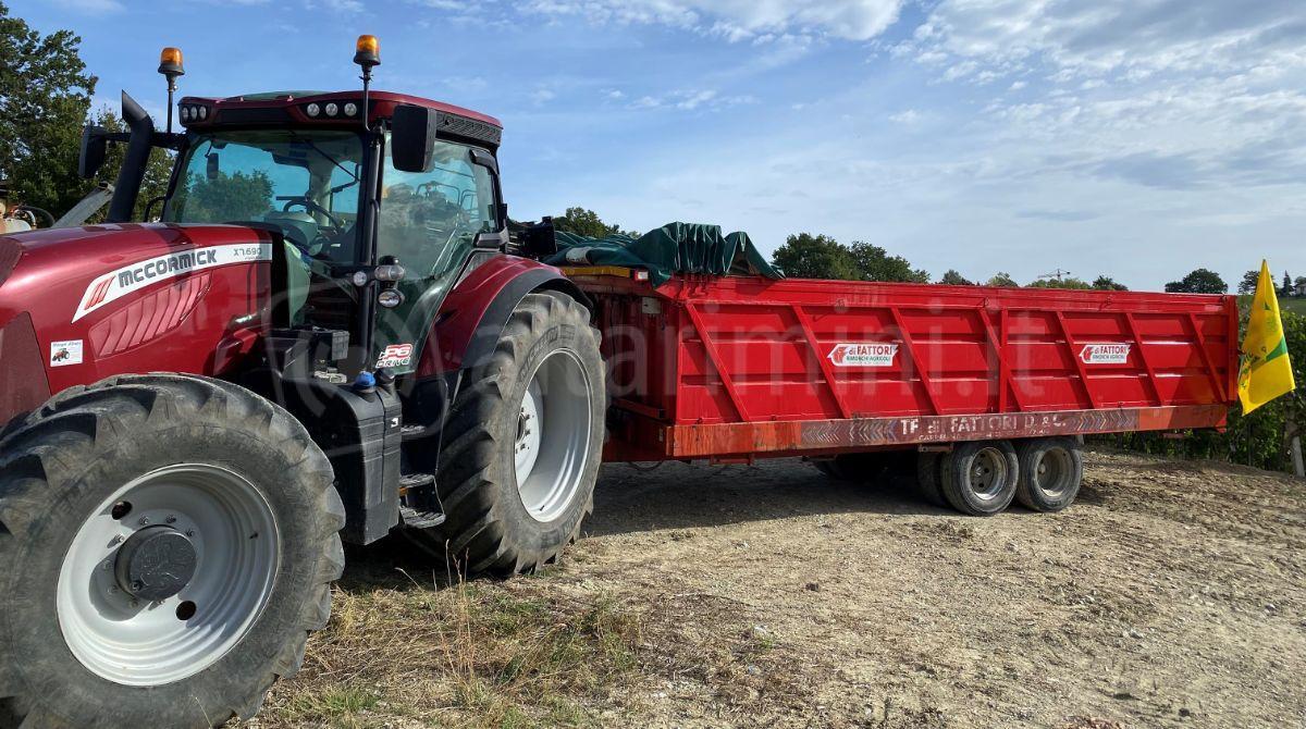 Vendemmia anticipata e penalizzata dalla siccità. Coldiretti:"ma il vino sarà ottimo" - 