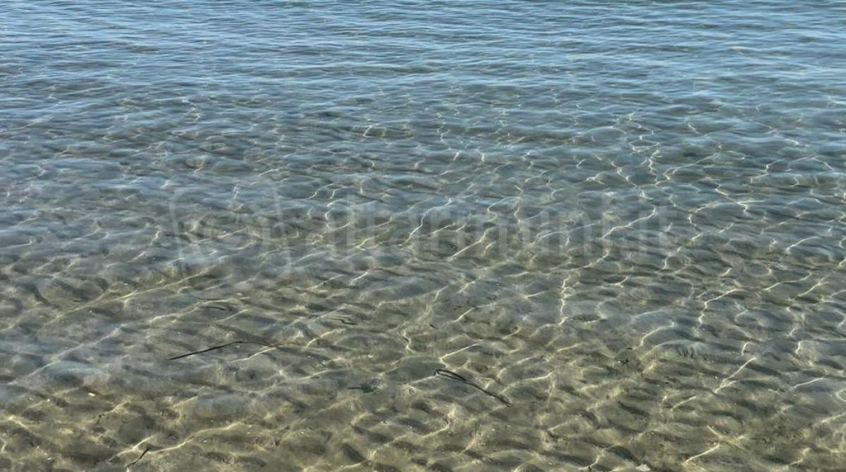 Il mare di Misano Adriatico: acque balneabili, parametri nella norma -