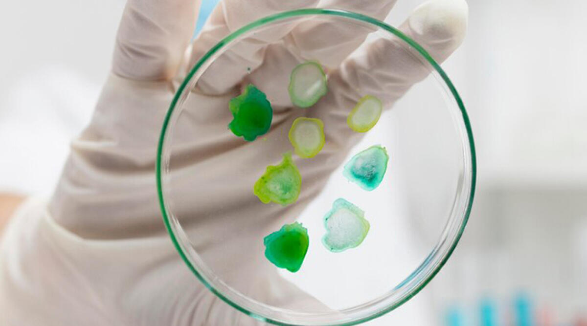 Legionella, muore anziana a Bellaria: disinfestazione in una casa di riposo - Archivio
