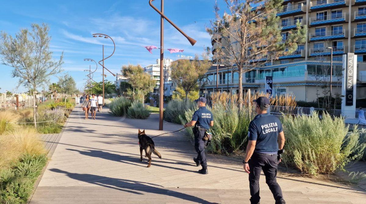 Scoperta 'Droga Party' in Hotel a Rimini: giovani fermati con Lsd, funghetti e Thc - Controlli antidroga a Rimini