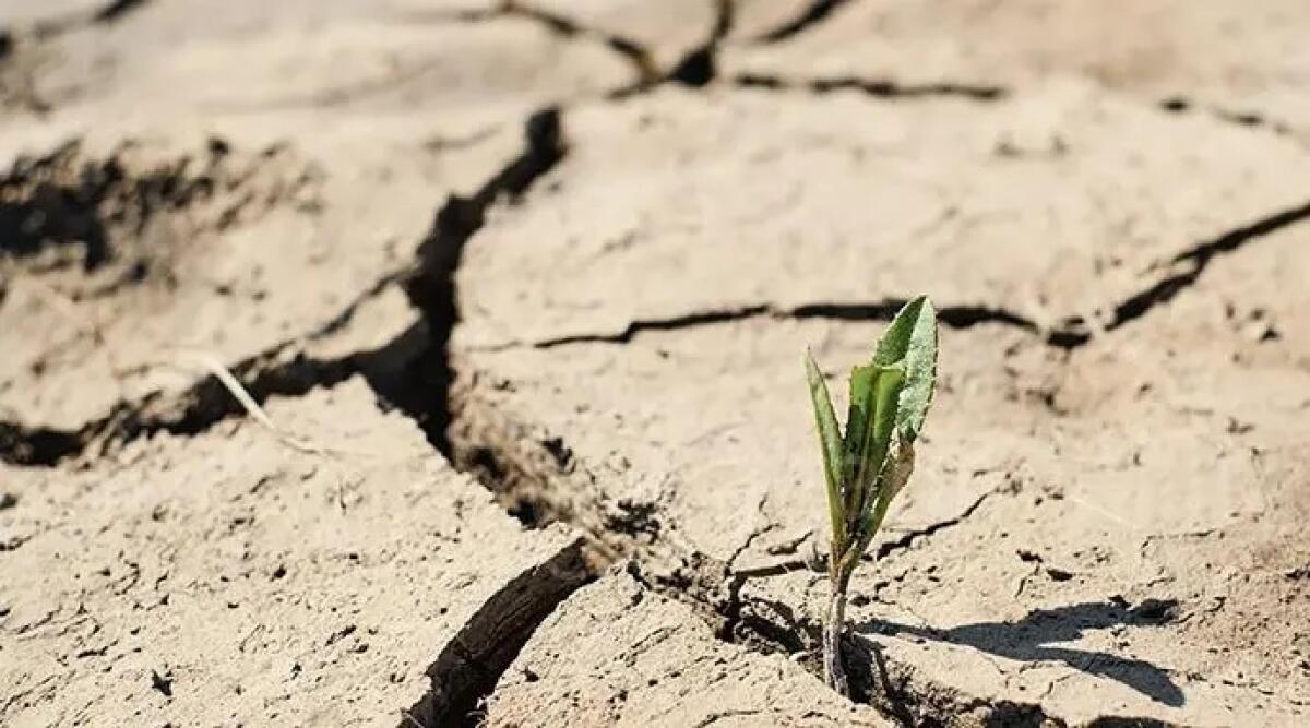 Siccità, allerta in Valconca. In tre Comuni scattano divieti - Repertorio