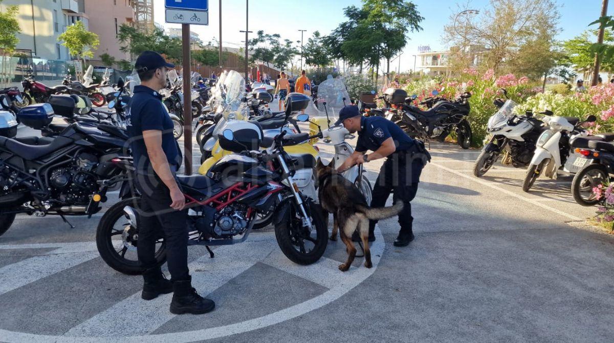 Dai furti ai pallinari, più sicurezza con la Polizia Locale nei luoghi turistici di Rimini - 