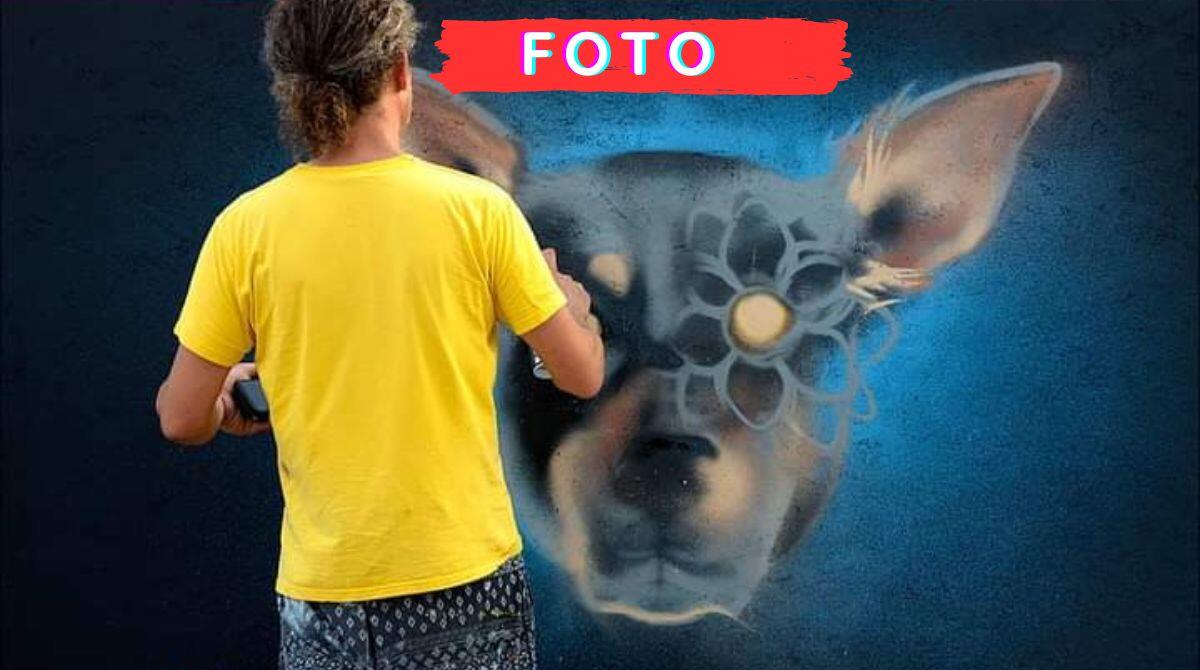 In asta le opere che hanno trasformato il canile di Riccione in una galleria a cielo aperto - 