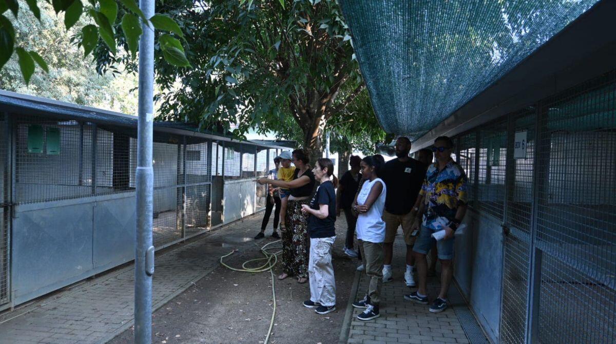 Canile di Riccione: assegnata gestione e al via i lavori per rendere la struttura più accogliente - 