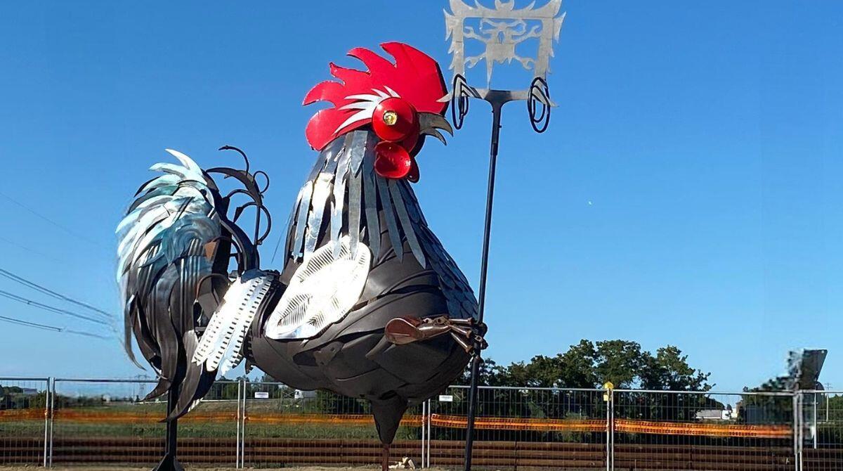 I mutoid per la rotatoria di San Vito: un gallo alto 4 metri campeggia come scultura - 