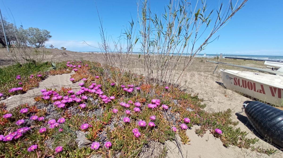 Rafforzamento della rete ecologica lungo il Marano: Riccione partecipa al bando regionale - 