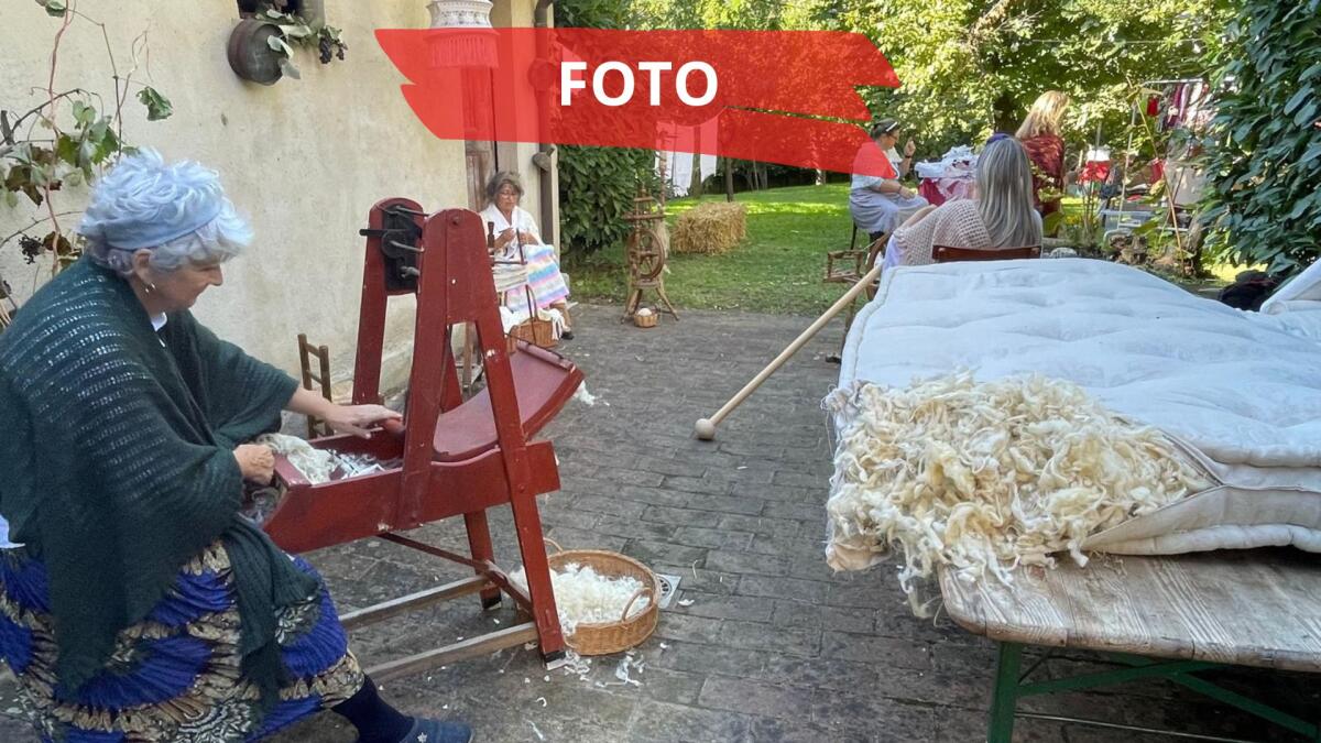 Novafeltria: la Festa della Vendemmia è un successo tra vini, riti e costumi della tradizione -