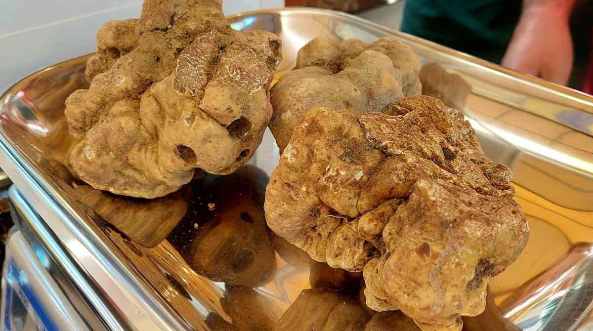 Fiera del tartufo bianco di Sant'Agata Feltria si presenta al Senato - 