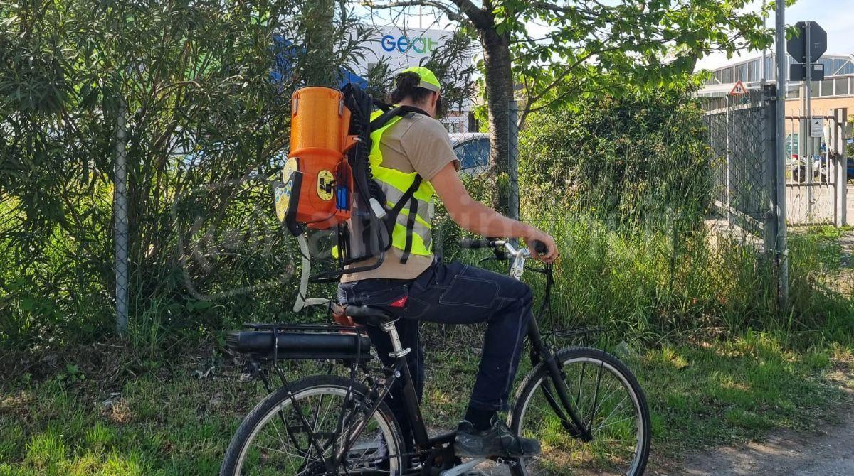 Anche a Riccione trattamenti contro le zanzare per prevenire il virus West Nile - 