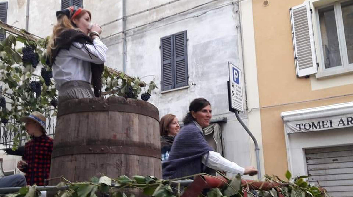 Novafeltria, 25 cantine da tutta Italia per la nuova edizione della Festa della Vendemmia - Festa della Vendemmia Novafeltria