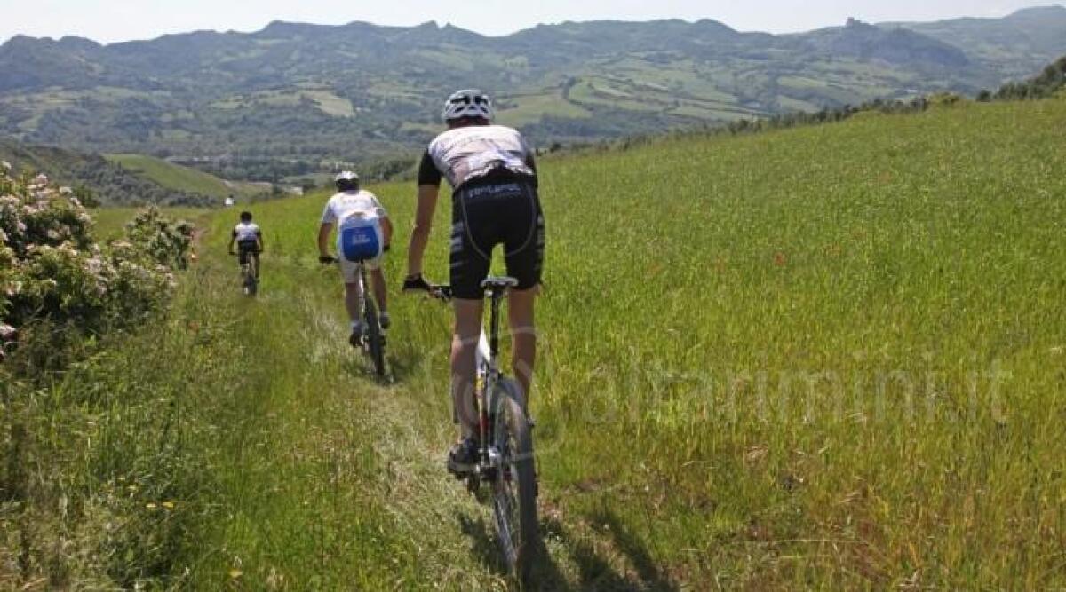 Cicloturismo e bike sharing: i dati dell'osservatorio Compass presentati a Misano - Immagine di repertorio