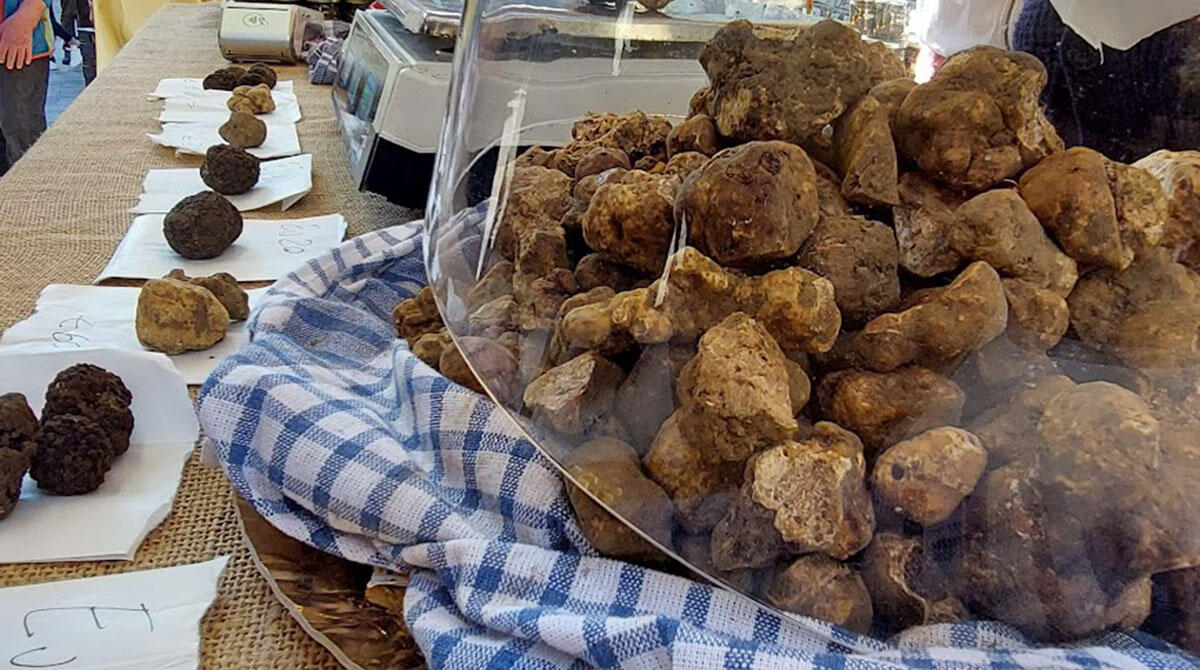 Rettifica: errata segnalazione della presenza di un Capitano Reggente alla Fiera di Sant'Agata Feltria - Fiera Nazionale del Tartufo Bianco Pregiato, Sant'Agata Feltria