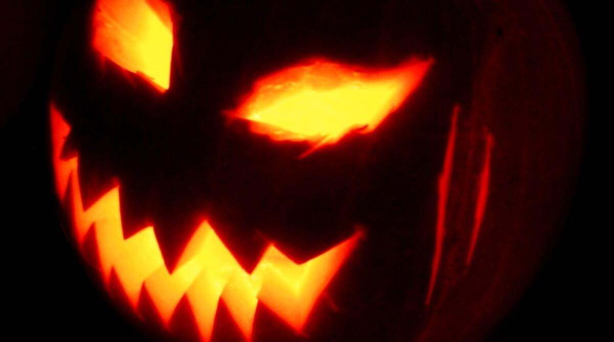 Halloween sicuro: la Prefettura intensifica i controlli per prevenire disordini e vandalismo - Repertorio