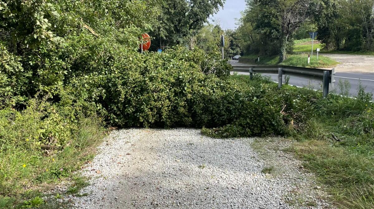 Segnalazione di un ciclista: problema sulla pista ciclabile Novafeltria - Rimini -