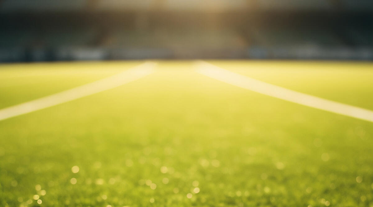 Bologna-Milan rinviata a data da destinarsi - Campo da calcio, foto di repertorio