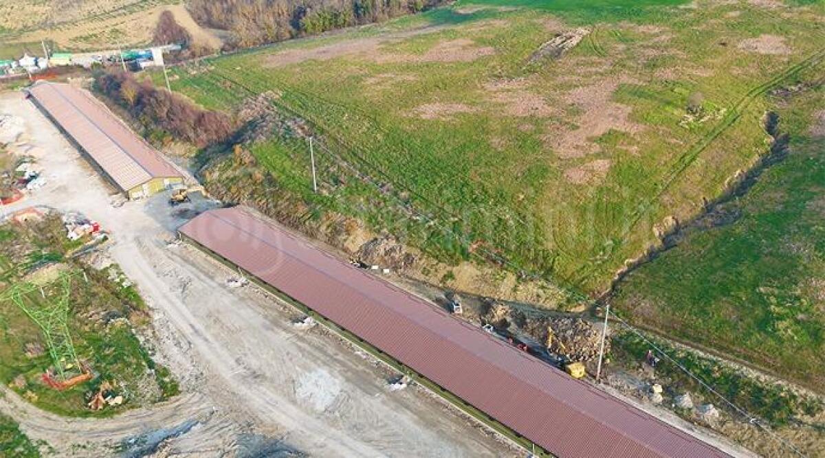 Frana all'interno del cantiere Fileni: cedimento nel maxi allevamento avicolo di Maiolo -