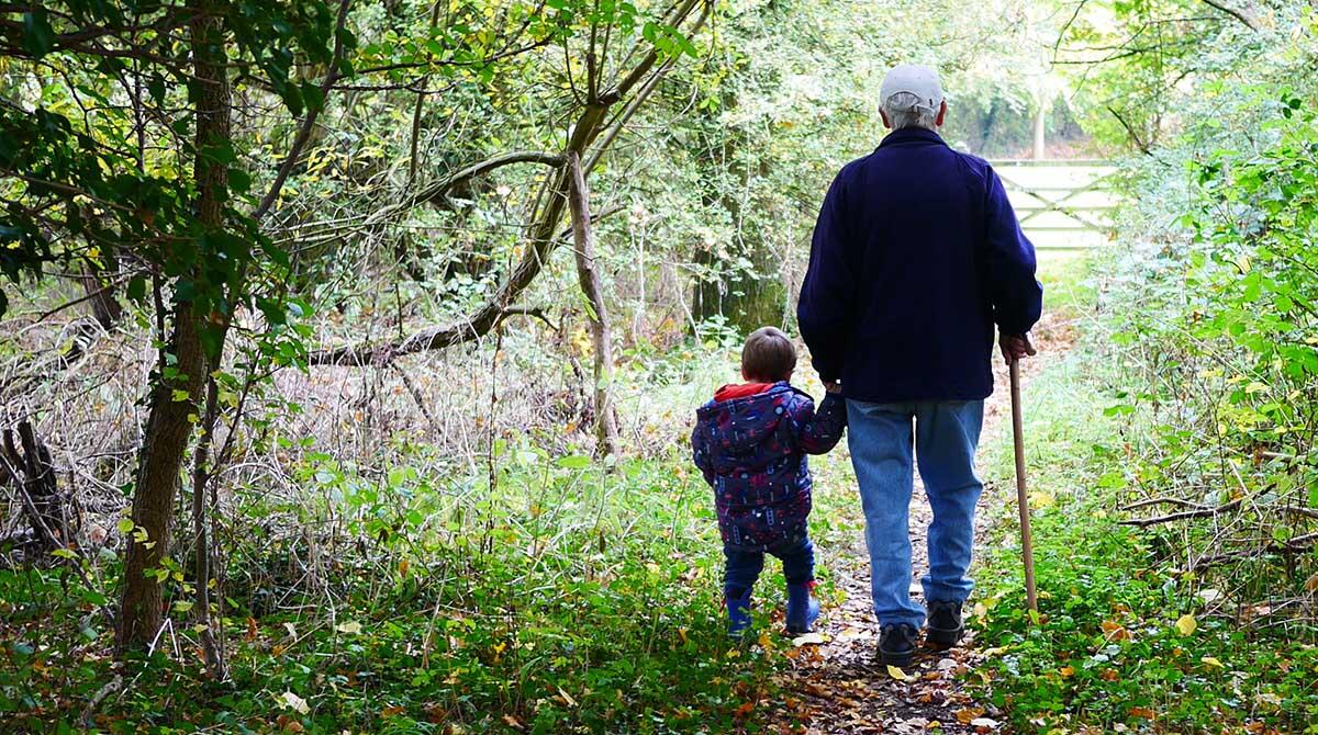 Trasformare i ricordi in arte: l'iniziativa de 'Le Befane' per la Giornata Mondiale dell'Alzheimer - Foto di repertorio