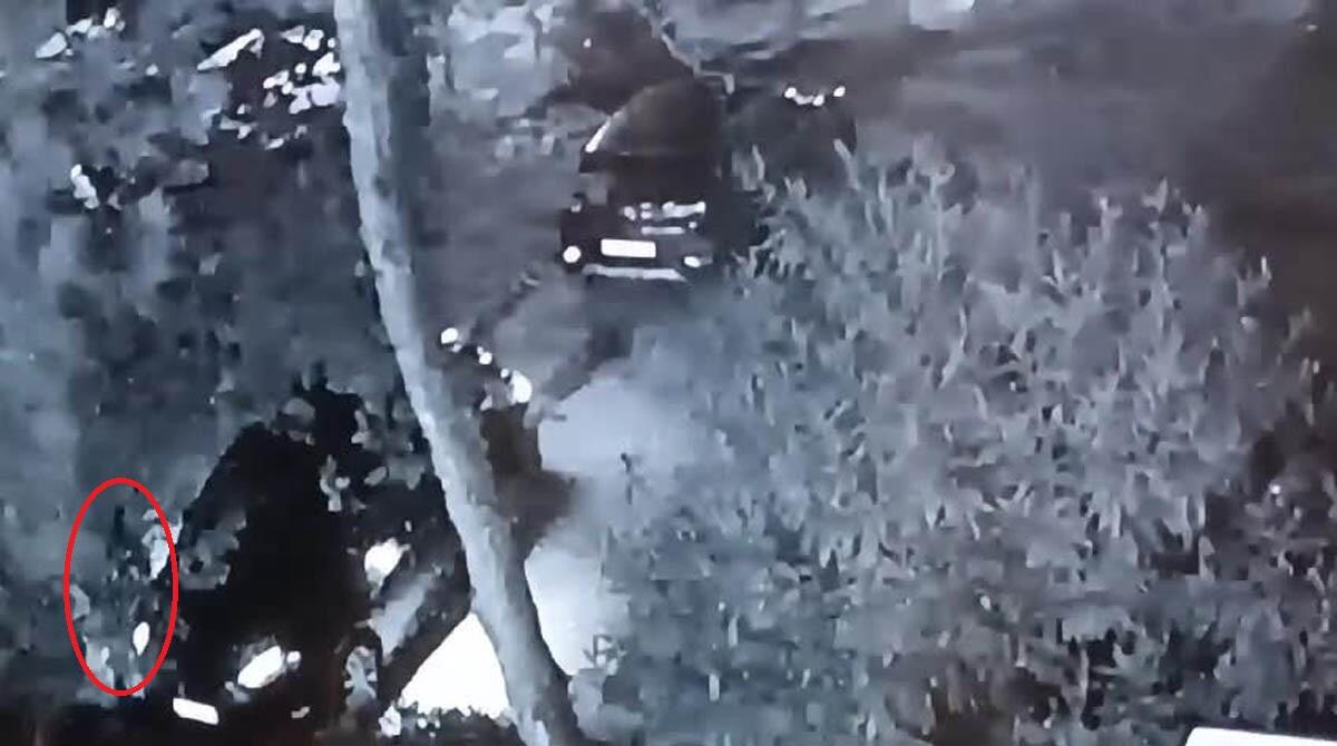 Furto nella notte a Rimini, le rubano l'auto parcheggiata sotto casa - 