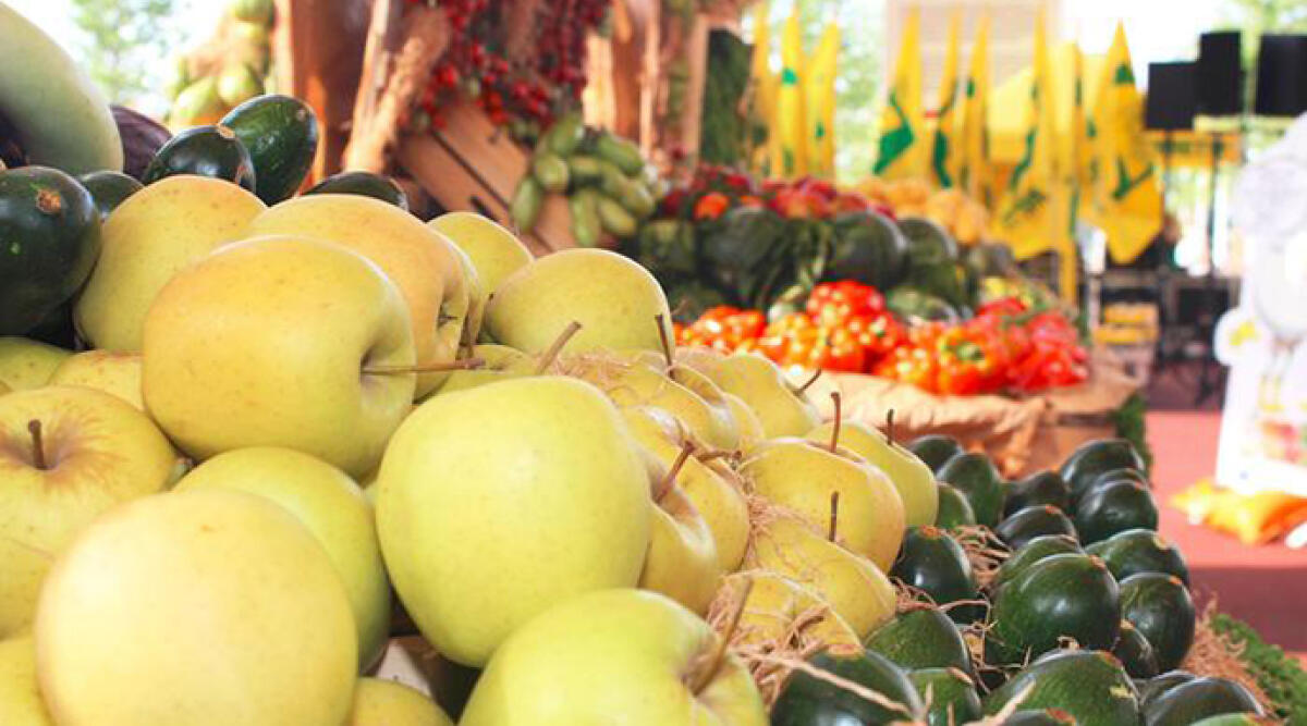 Il Caar ha distribuito più di mille tonnellate di frutta e verdura a 42 associazioni benefiche del territorio - Foto Ansa