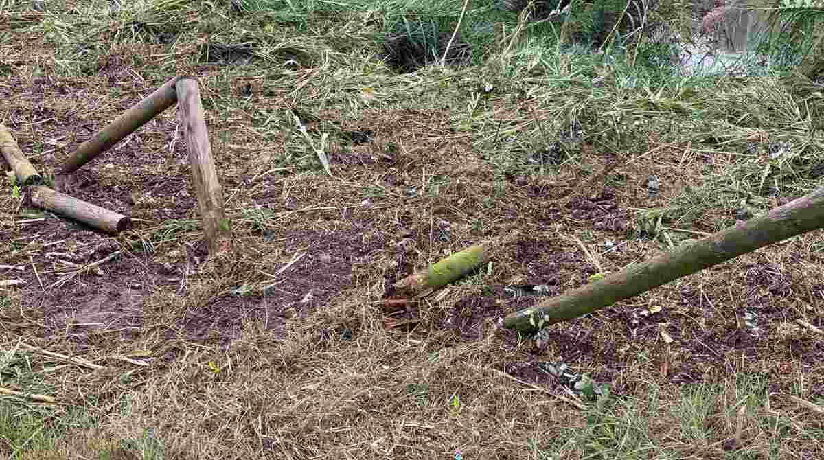 Rimini, la segnalazione: "Parco Giovanni Paolo II con recinzioni rotte e fango: situazione disastrosa" -